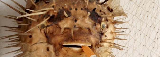 Viel Rauch um nichts – eine Typologie der Raucher Viel Rauch um nichts – eine Typologie der Raucher