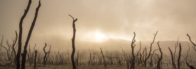 Was wäre, wenn … sich die Erdtemperatur um zwei Grad Celsius erhöhte? Was wäre, wenn … sich die Erdtemperatur um zwei Grad Celsius erhöhte?