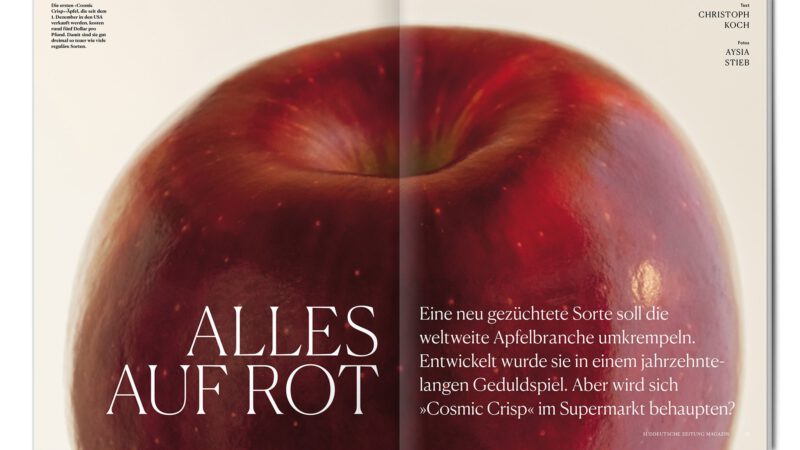 Alles auf Rot: Die neue Apfelsorte WA38 alias  „Cosmic Crisp“