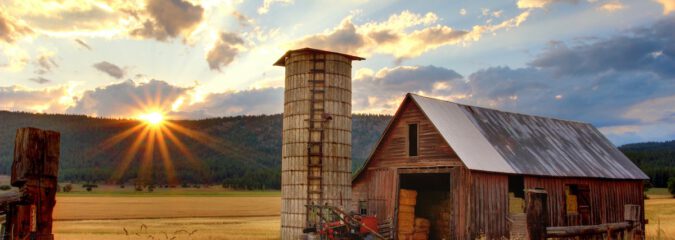Was wäre, wenn … es nur noch biologische Landwirtschaft gäbe? Was wäre, wenn … es nur noch biologische Landwirtschaft gäbe?