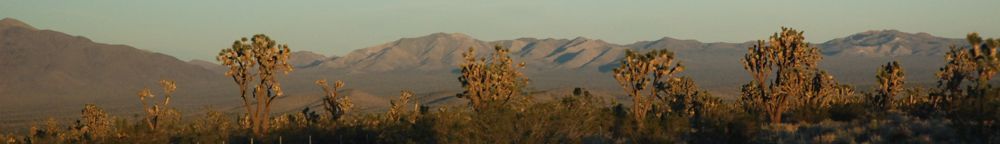 Christoph Koch header image 1