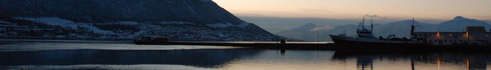 Christoph Koch header image 4