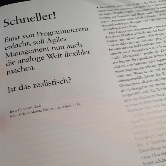 agile brandeins