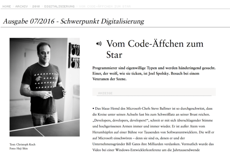 joel spolsky programmierer brand eins