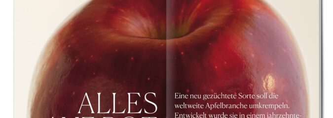 Alles auf Rot: Die neue Apfelsorte WA38 alias  „Cosmic Crisp“