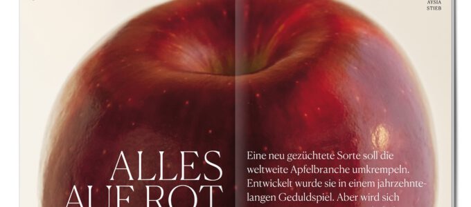 Alles auf Rot: Die neue Apfelsorte WA38 alias  „Cosmic Crisp“