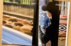 Pendleton: Anerkennung oder Aneignung?