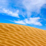 Todsünde Bier und die Penisvergrüserung: Die besten Suchanfragen im September und Oktober 2010