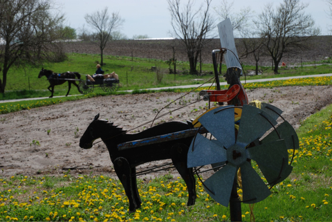 DSC_0195 Zügel statt Gaspedal: Die Benzinpreise ärgern die Amish - christliche Traditionalisten in den USA - überhaupt nicht: Autos sind verpönt.