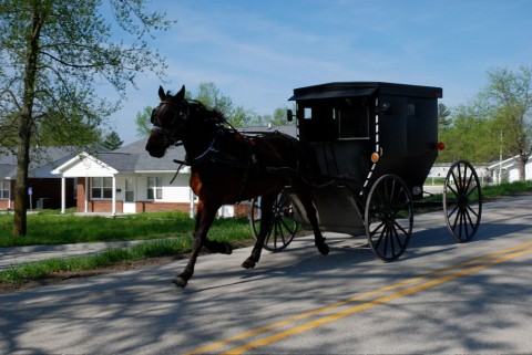 Mit der Kutsche durch die Krise: Wie die Amish selbst, ist auch ihre Zeitung relativ resistent gegen den Abschwung.
